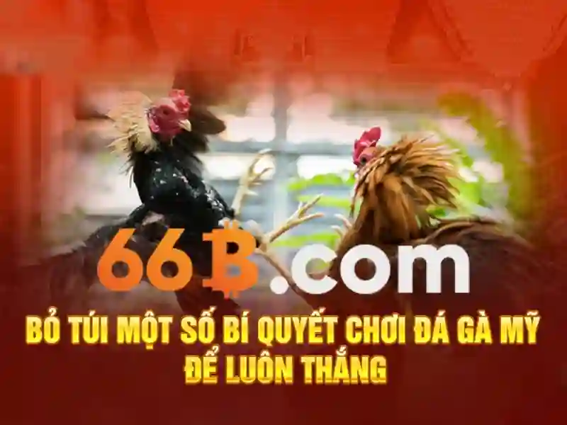 66b: Mô hình ngôn ngữ quy mô lớn 66 tỷ tham số