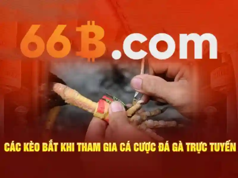 cờ caro 66b: hành trình thương hiệu và trải nghiệm