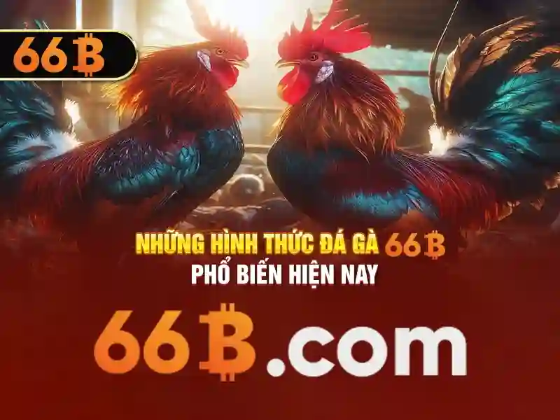 Tổng quan về sân cầu lông 66b triều khúc