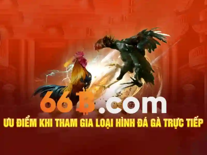 66B là gì và tiềm năng của một mô hình ngôn ngữ 66B