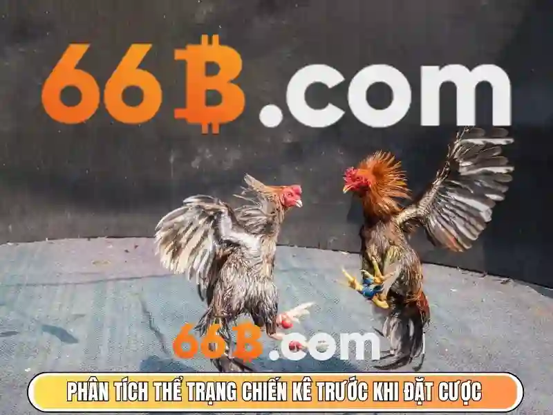 https://yoyougaming.uk/images/text/66b/66b-text2603311666.webp 66b là gì?