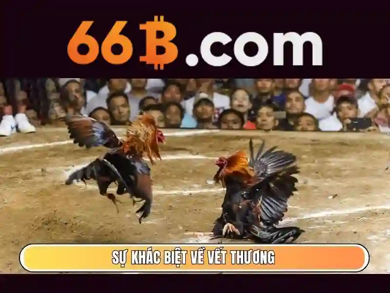 https://yoyougaming.uk/images/text/66b/66b-text2603051055.webp Giới thiệu về 66b