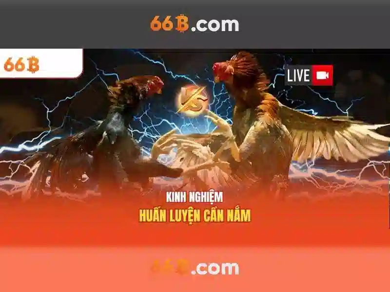 Code 66b – Khởi tạo tương lai với 66b bet com và 66b app