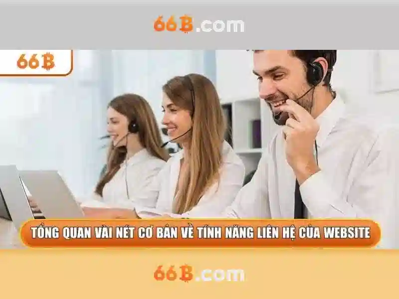 Sản phẩm và dịch vụ chính: ứng dụng thực tế của bếp từ Canzy CZ 66B