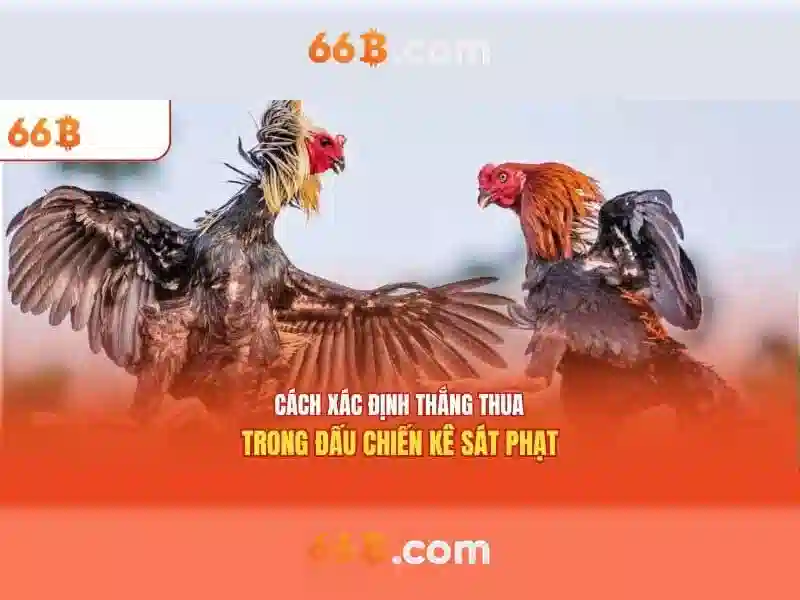 https://yoyougaming.uk/images/text/66b/66b-text260305568.webp 66b of the b – Sản phẩm và dịch vụ cốt lõi