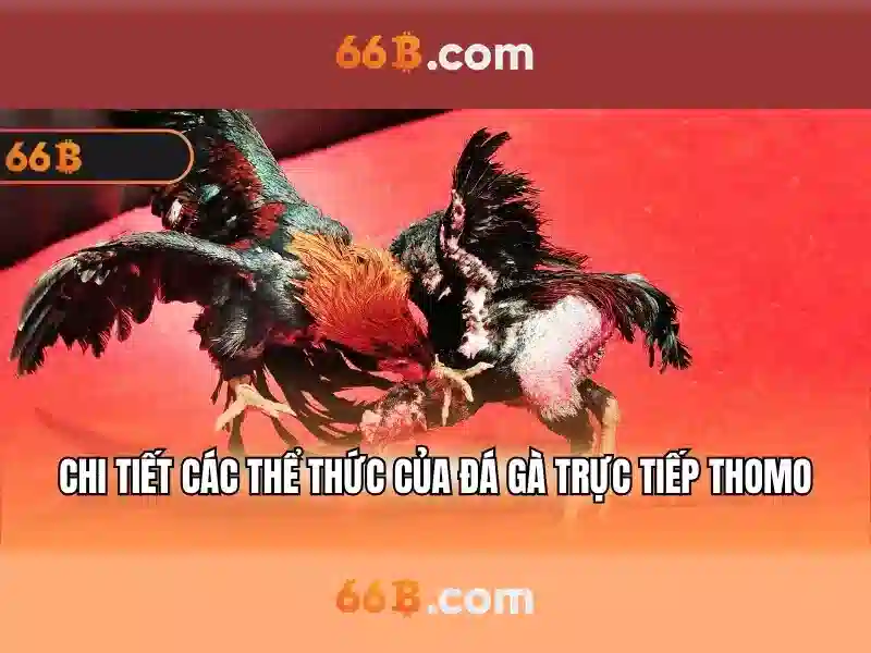 https://yoyougaming.uk/images/text/66b/66b-text260330213.webp Ứng dụng thực tế của 66b