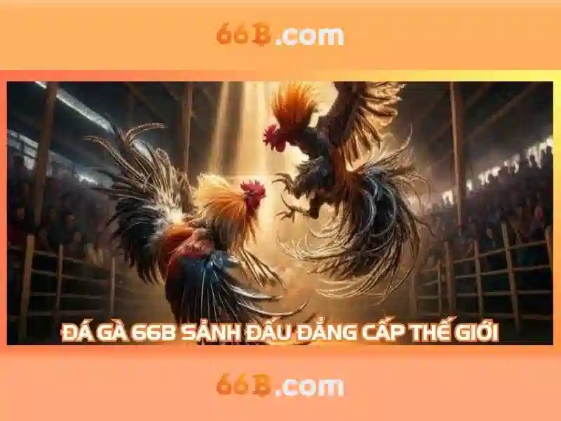 Mô hình 66B: Khám phá sức mạnh của một mô hình ngôn ngữ 66 tỷ tham số Giao diện nhà cái hoàn hảo