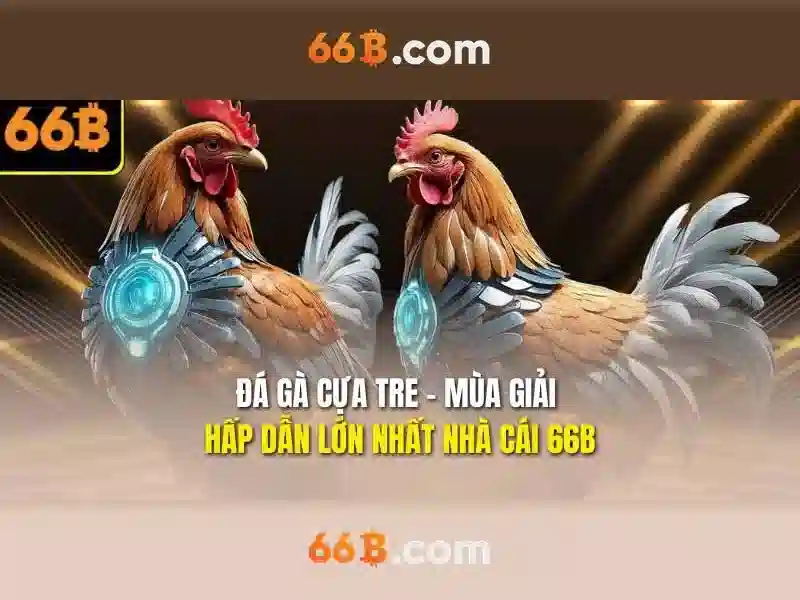 dpt20-66b: Trải nghiệm và đánh giá hàng đầu