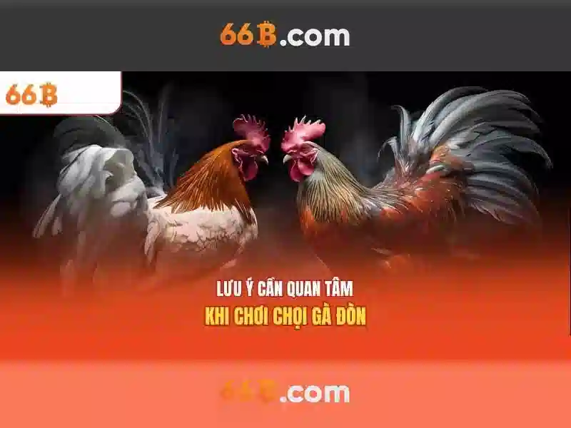 Khám phá trang chủ 66b: hành trình đột phá và đánh giá 66b