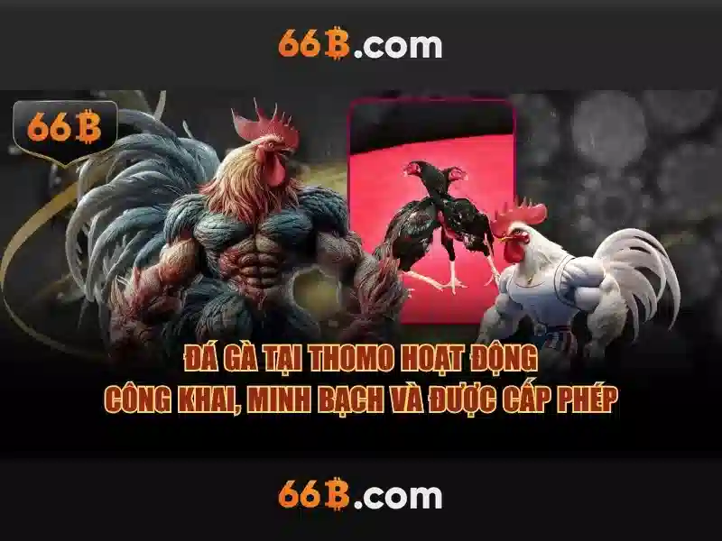 https://yoyougaming.uk/images/text/66b/66b-text2603311082.webp Kiến trúc và tham số của 66B