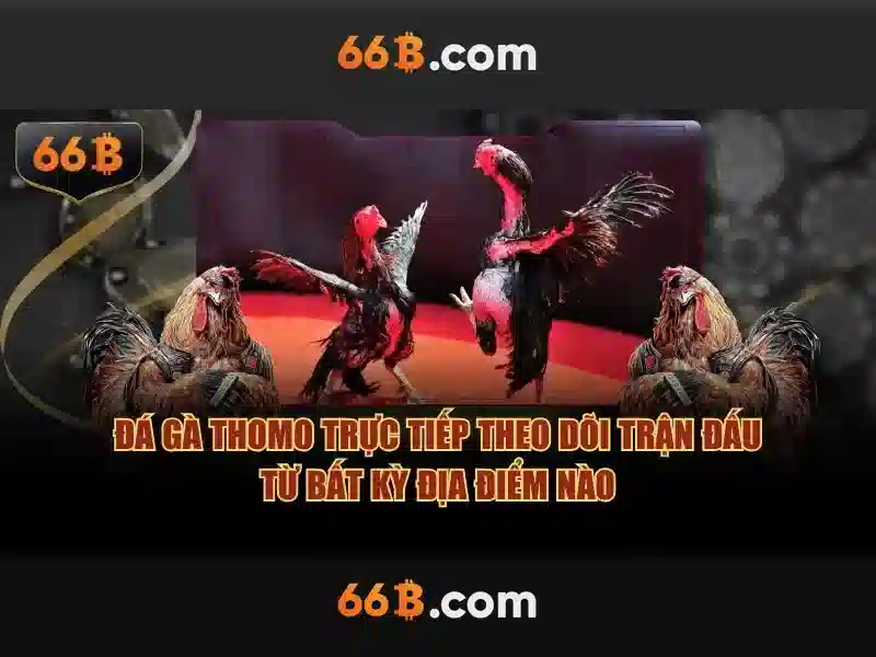 66b: một khái niệm công nghệ và câu chuyện đằng sau