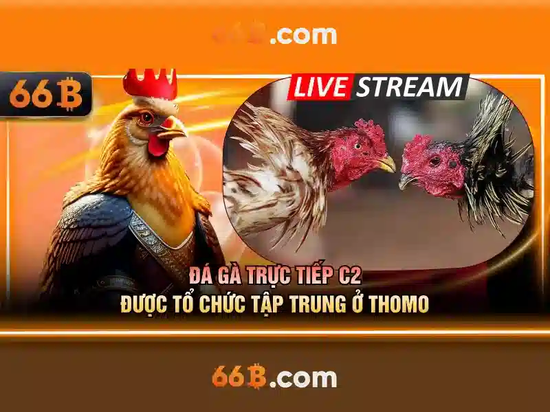 66B: Mô hình ngôn ngữ với 66 tỷ tham số và những đột phá