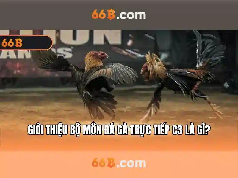 https://yoyougaming.uk/images/text/66b/66b-text2603051025.webp Kiến trúc và quy mô