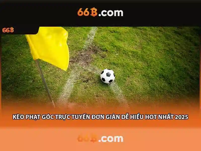 Cách hoạt động của 66B
