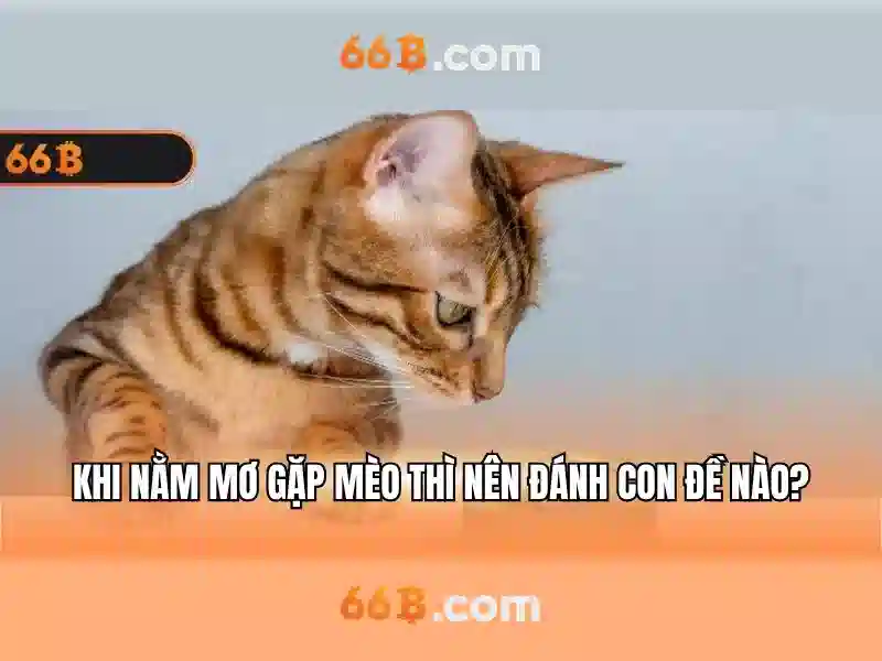 66b: một mô hình ngôn ngữ lớn cho nghiên cứu và ứng dụng