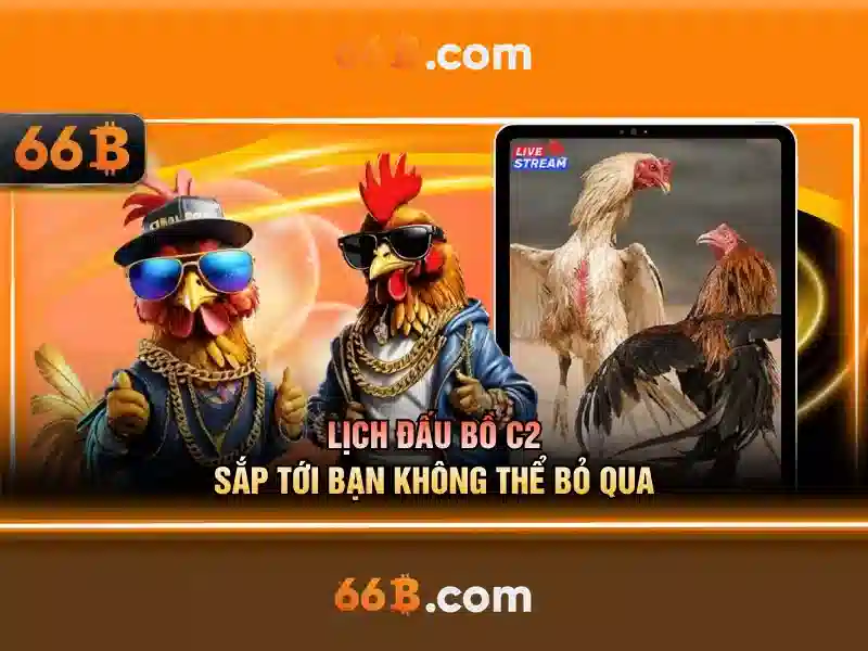 66b: Tổng quan về mô hình ngôn ngữ lớn với 66 tỷ tham số