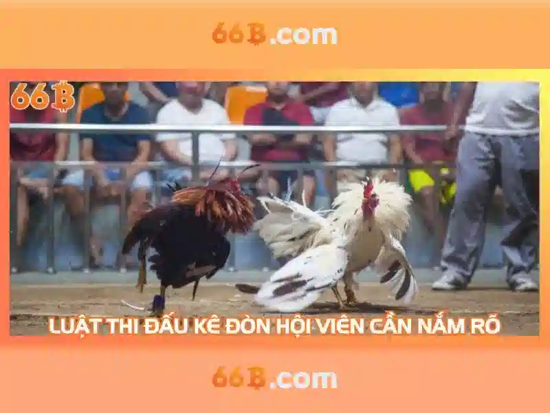 https://yoyougaming.uk/images/text/66b/image-text127.webp Kiến trúc và quy mô của 66B