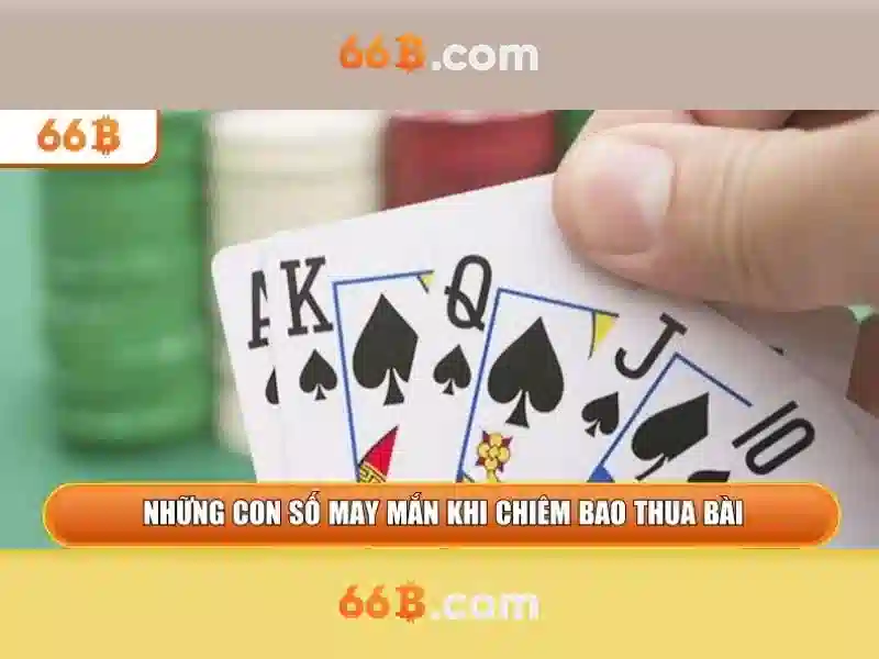 https://yoyougaming.uk/images/text/66b/66b-text260331417.webp Kiến trúc và quy mô