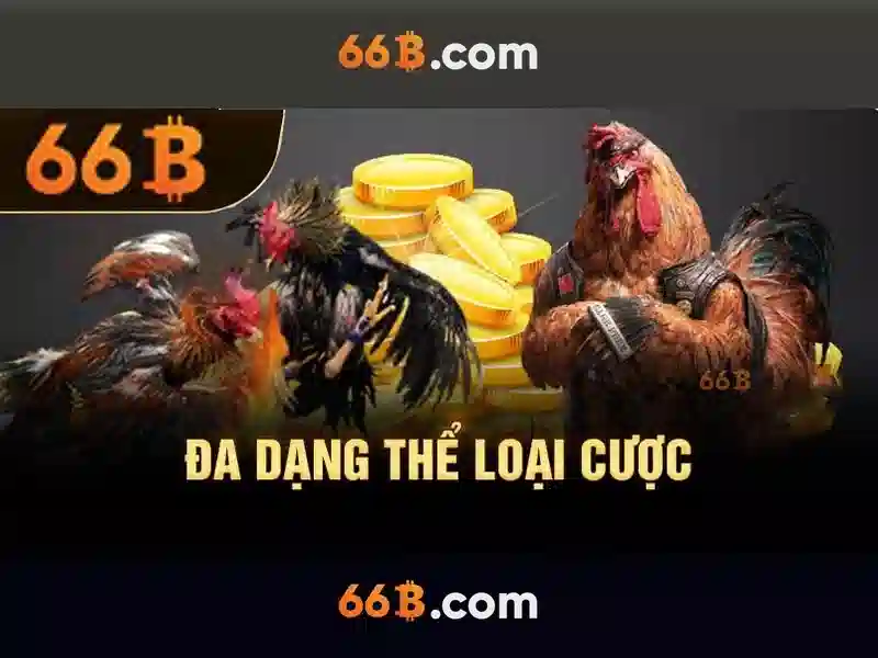 66b: Khía cạnh và ứng dụng