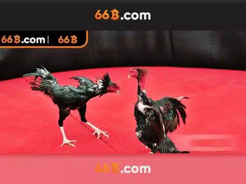 https://yoyougaming.uk/images/text/66b/image-text101.webp 66b là một khái niệm số học và nhị phân thú vị