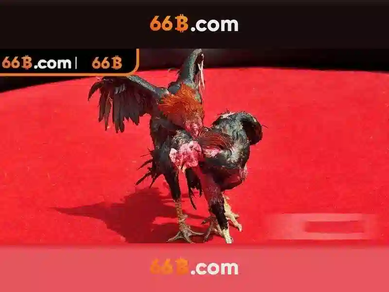 https://yoyougaming.uk/images/text/66b/66b-text11.webp Khả năng và hạn chế