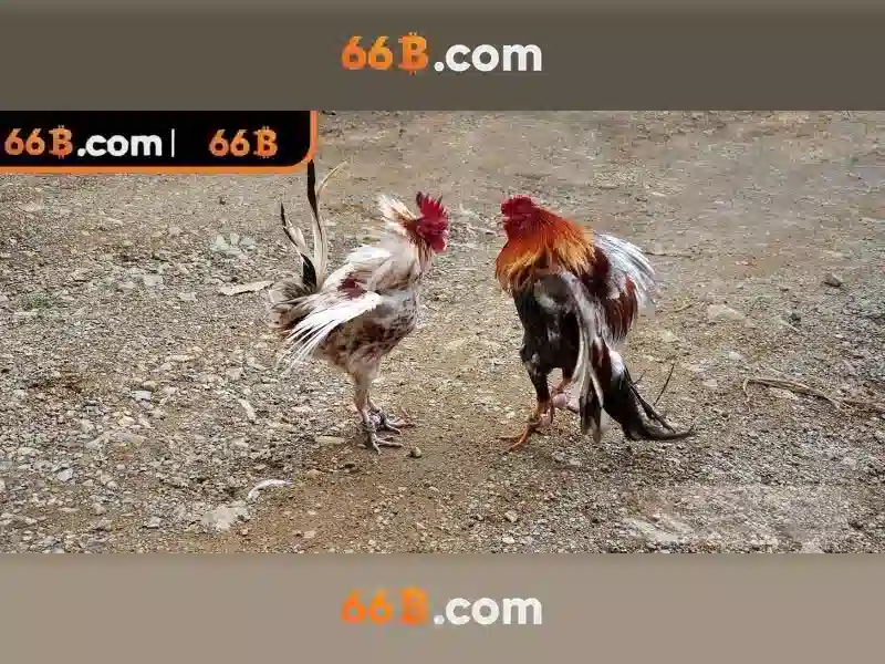 https://yoyougaming.uk/images/text/66b/66b-text2603311406.webp Kiến trúc và dữ liệu dùng cho 66B