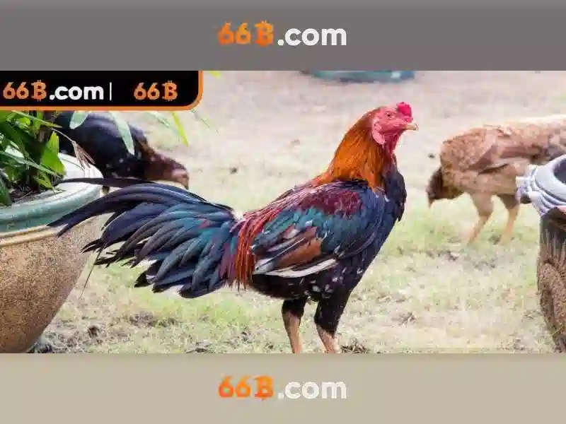 https://yoyougaming.uk/images/text/66b/66b-text2603311376.webp An toàn và quản trị