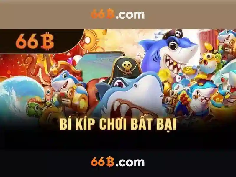 Khám phá kích thước 66B và ý nghĩa của nó Giao diện nhà cái hoàn hảo