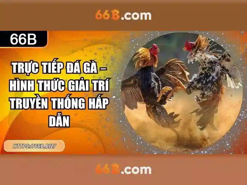 66b: Khái niệm và tác động Giao diện nhà cái hoàn hảo