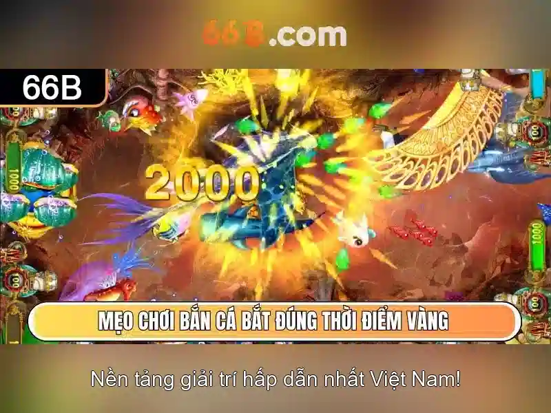 66B là gì?