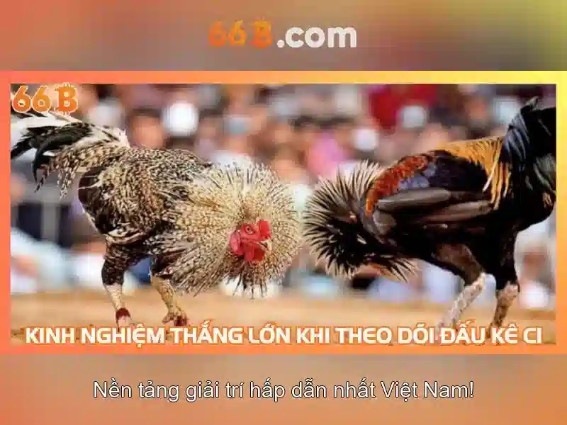 https://yoyougaming.uk/images/text/66b/66b-text260331317.webp Kiến trúc và tham số của 66B