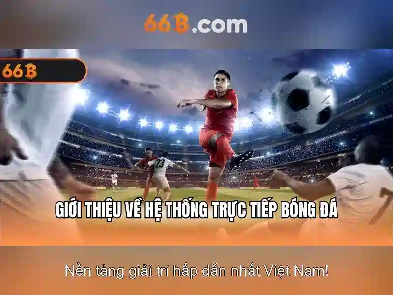 66b. com – Tổng quan chủ đề và giá trị cốt lõi