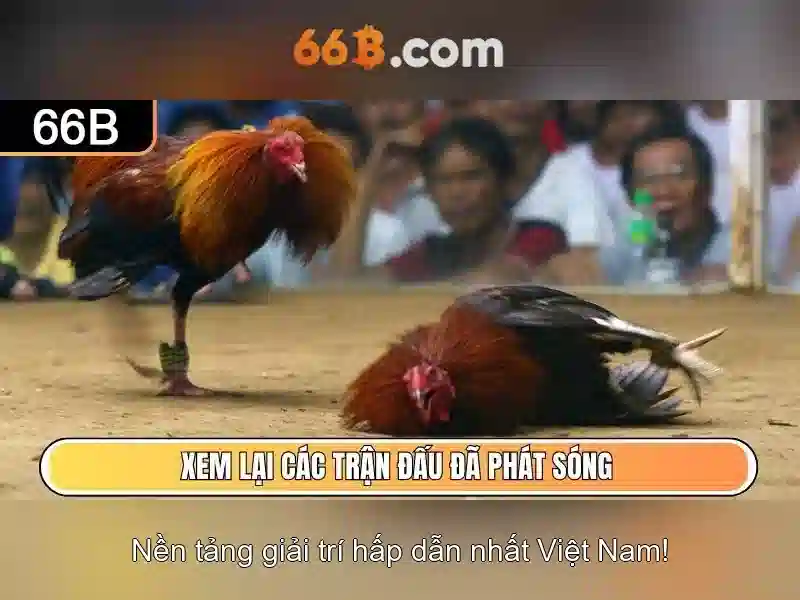66b: Khám phá mô hình ngôn ngữ 66b và sức mạnh của nó Giao diện nhà cái hoàn hảo
