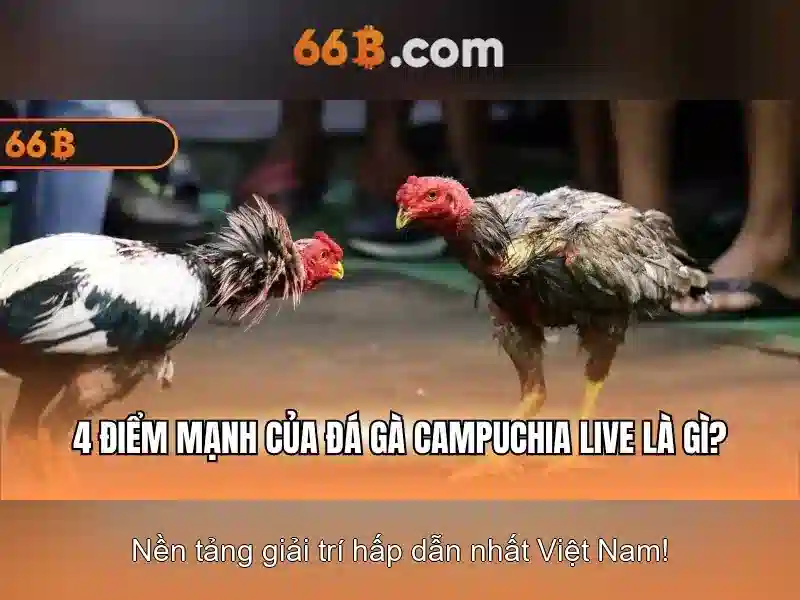 Giao diện nhà cái hoàn hảo
