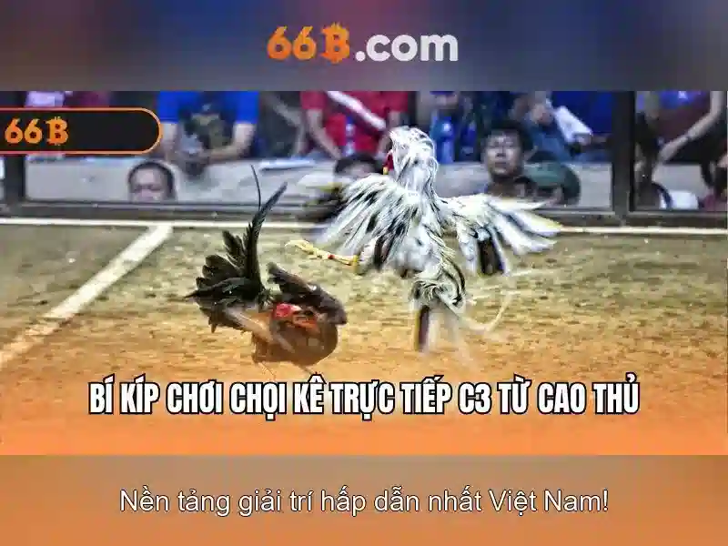 Khám phá mô hình 66B: ngôn ngữ lớn cho ứng dụng đa nhiệm Giao diện nhà cái hoàn hảo