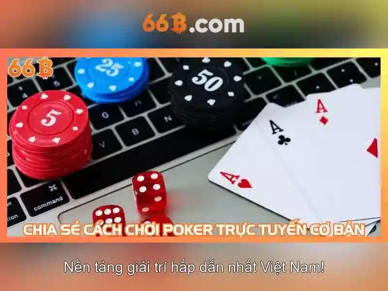 66B là gì?