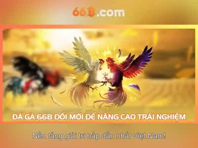 Giới thiệu về 66B