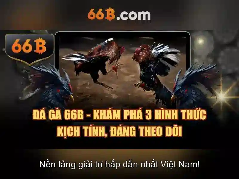 Khái niệm về 66b