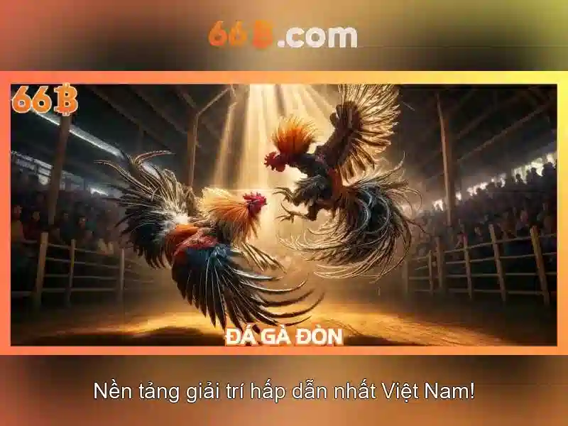 Sản phẩm và dịch vụ cốt lõi: ứng dụng thực tế của 66b. com