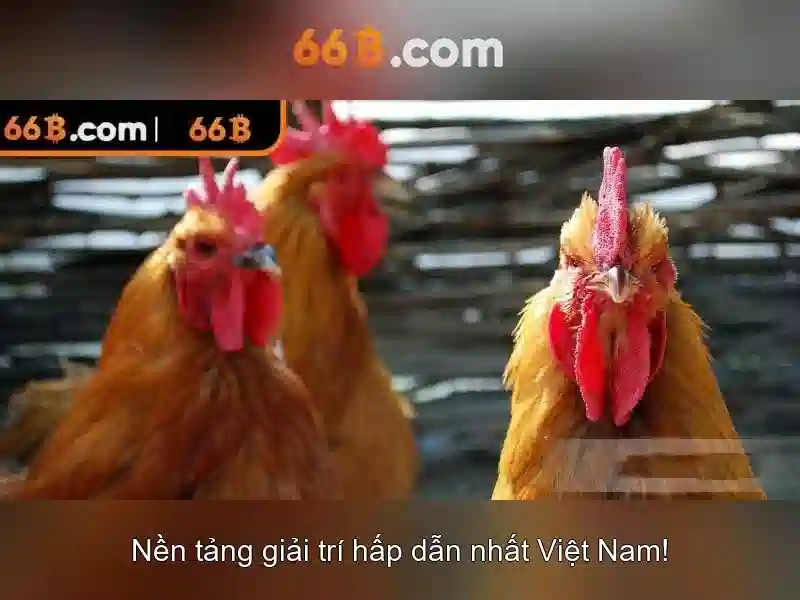 https://yoyougaming.uk/images/text/66b/66b-text2603311082.webp Cấu trúc và cách hoạt động