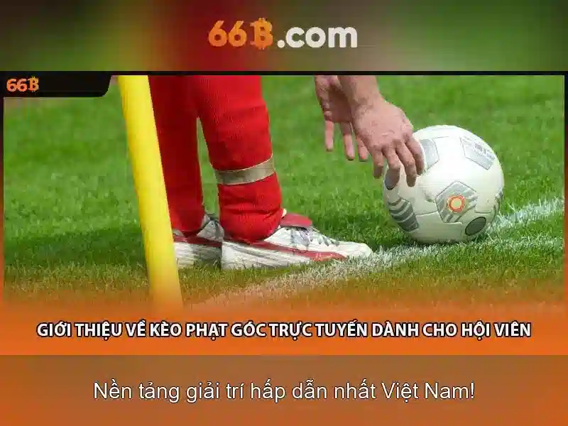 66b bus route Tong quan va gia tri