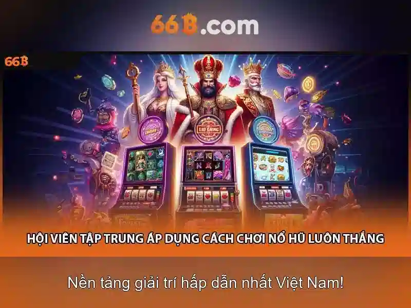 66b là gì