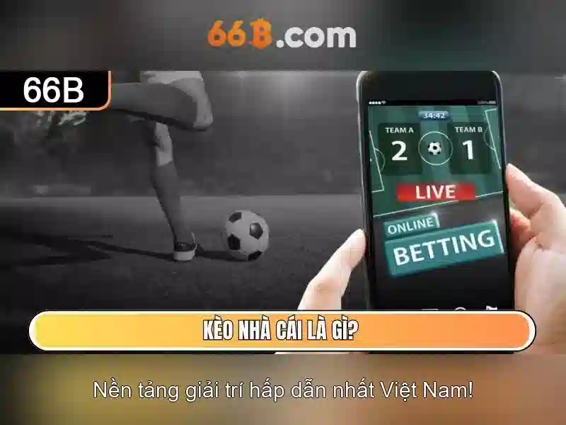 66B: Đánh giá và ứng dụng của mô hình ngôn ngữ 66 tỷ tham số