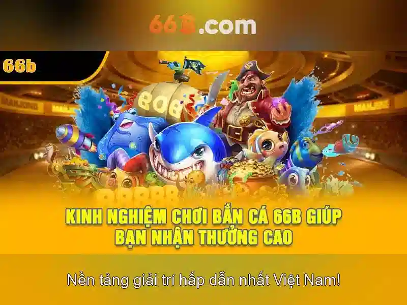 66b: khái niệm và nguồn gốc