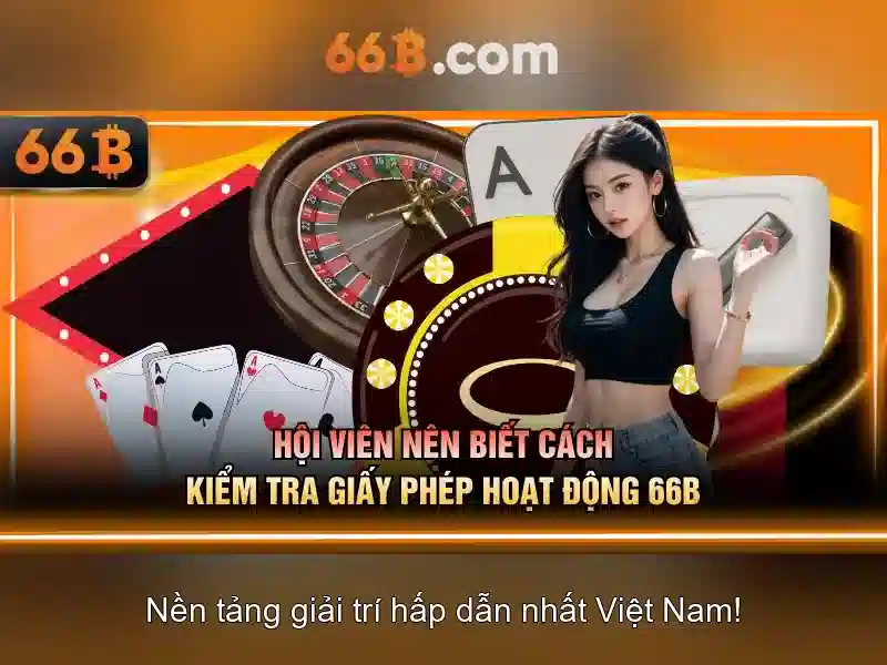 66b: một khái niệm trong công nghệ và đời sống