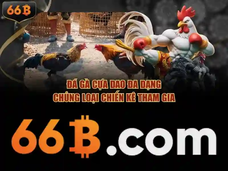 66b: Khía cạnh, nguồn gốc và ứng dụng