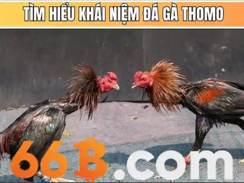 Giao diện nhà cái hoàn hảo