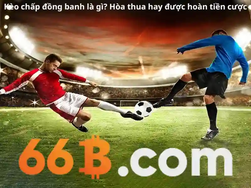 Khám phá stevens model 66b: công nghệ và ứng dụng