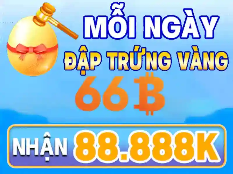 Trải nghiệm người dùng và phản hồi của cộng đồng