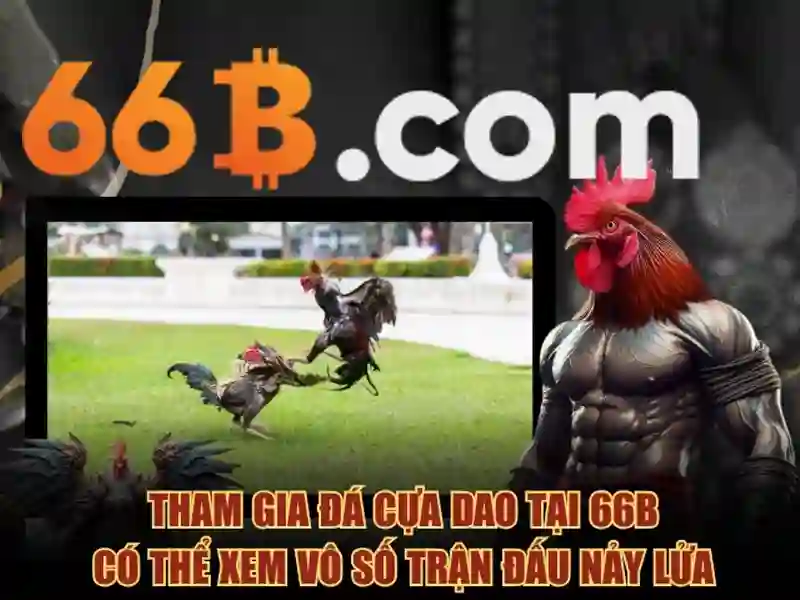 66b cách mạng tháng 8 quận 3 tp hcm – Lợi thế và năng lực cạnh tranh